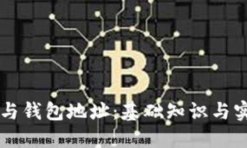 区块链与钱包地址：基础知识与实用指南