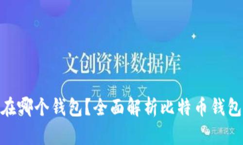: 比特币存放在哪个钱包？全面解析比特币钱包的种类与选择