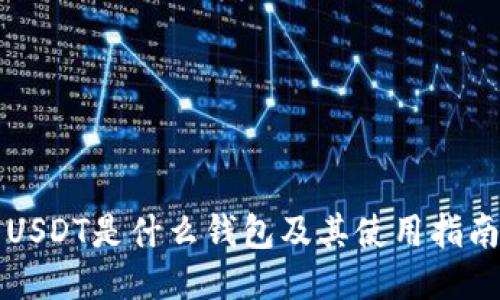 USDT是什么钱包及其使用指南