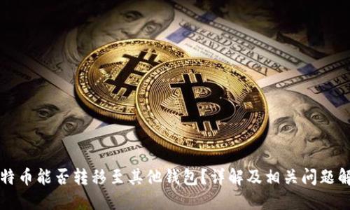 比特币能否转移至其他钱包？详解及相关问题解答