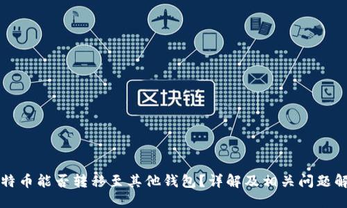 比特币能否转移至其他钱包？详解及相关问题解答