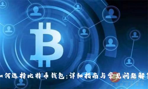 如何选择比特币钱包：详细指南与常见问题解答