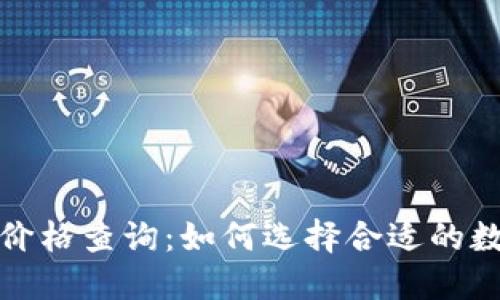以太坊钱包机器价格查询：如何选择合适的数字货币钱包设备