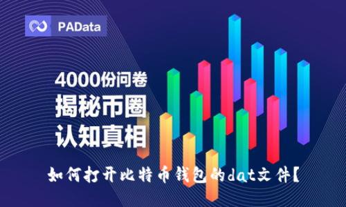 如何打开比特币钱包的dat文件？