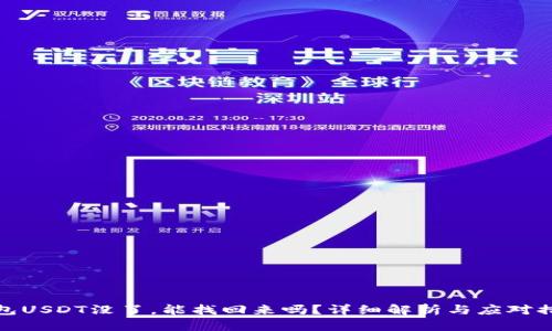 钱包USDT没了，能找回来吗？详细解析与应对措施