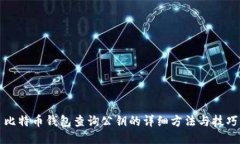 比特币钱包查询公钥的详细方法与技巧