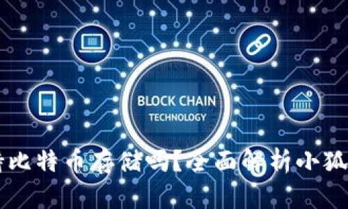 小狐狸钱包支持比特币存储吗？全面解析小狐狸钱包与比特币
