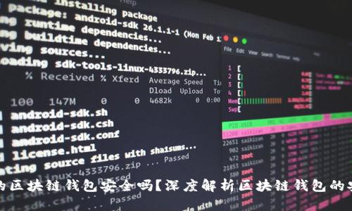 下载的区块链钱包安全吗？深度解析区块链钱包的安全性