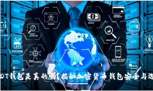 USDT钱包是真的吗？揭秘加密货币钱包安全与选择