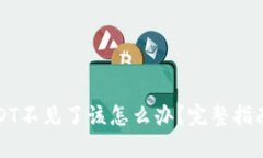 钱包中的USDT不见了该怎么办？完整指南与解决方