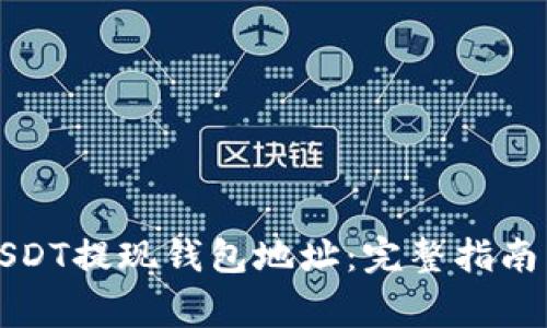 如何选择USDT提现钱包地址：完整指南与常见问题
