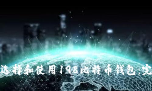 : 如何选择和使用198比特币钱包：完整指南