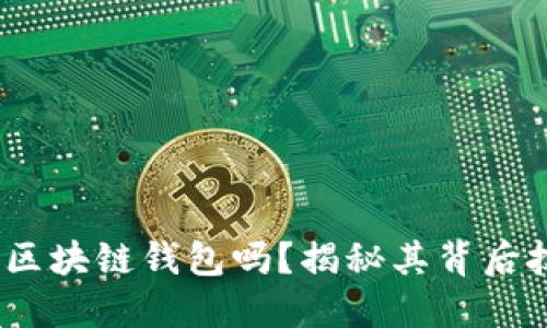 GCash 是区块链钱包吗？揭秘其背后技术与应用