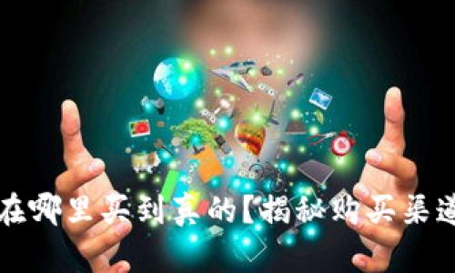 区块链钱包在哪里买到真的？揭秘购买渠道与选择技巧