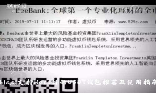biasi支持Heco链的USDT钱包推荐及使用指南
