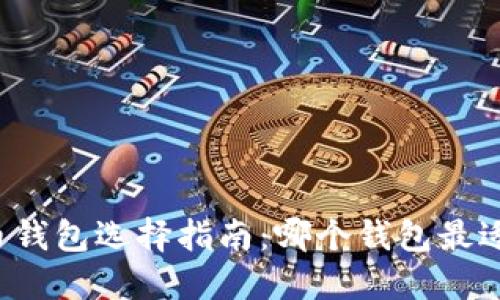 虚拟币钱包选择指南：哪个钱包最适合您？