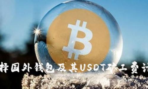 如何选择国外钱包及其USDT矿工费计算方法