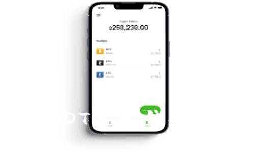 如何将USDT导入钱包：详细指南