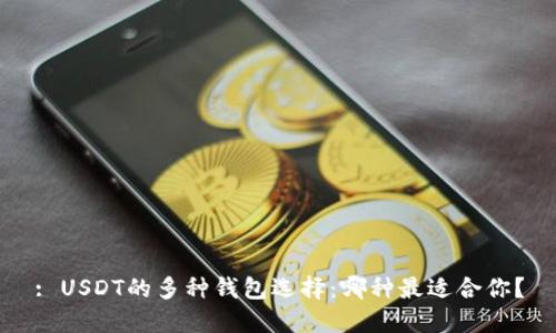 : USDT的多种钱包选择：哪种最适合你？