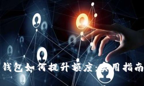 比特币钱包如何提升额度：实用指南与技巧