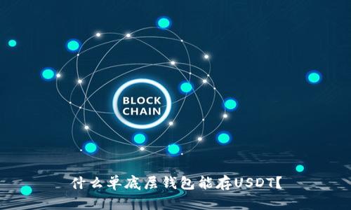 什么单底层钱包能存USDT？