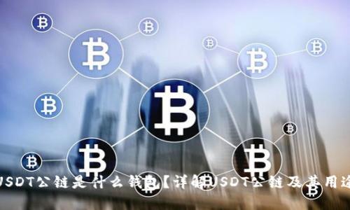 USDT公链是什么钱包？详解USDT公链及其用途