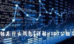 USDT公链是什么钱包？详解