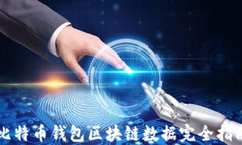 
比特币钱包区块链数据完全指南