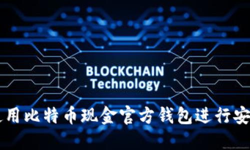 如何使用比特币现金官方钱包进行安全交易
