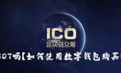 数字钱包能买USDT吗？如何使用数字钱包购买USD