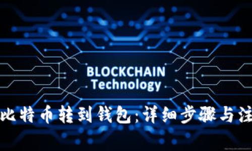 如何将比特币转到钱包：详细步骤与注意事项