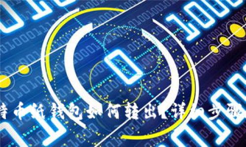 biao ti比特币纸钱包如何转出？详细步骤和注意事项