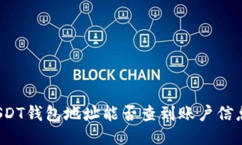 USDT钱包地址能否查到账户信息？