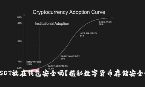 USDT放在钱包安全吗？揭秘数字货币存储安全性