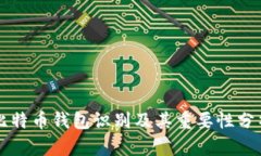 比特币钱包识别及其重要性分析