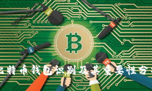 比特币钱包识别及其重要性分析