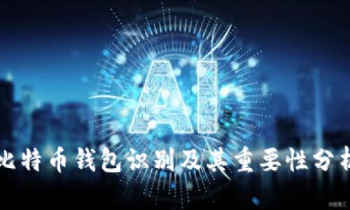 比特币钱包识别及其重要性分析