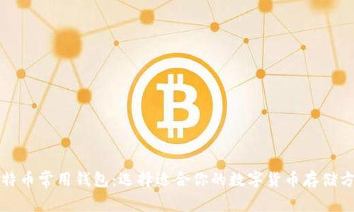 比特币常用钱包：选择适合你的数字货币存储方案