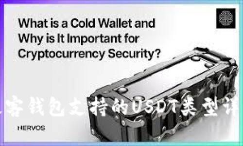 极客钱包支持的USDT类型详解