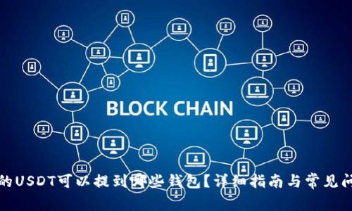 火币网的USDT可以提到哪些钱包？详细指南与常见问题解答