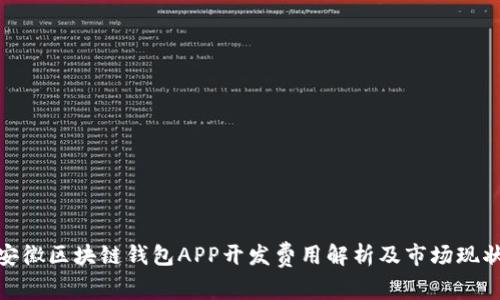 安徽区块链钱包APP开发费用解析及市场现状