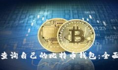 如何查询自己的比特币钱包：全面指南