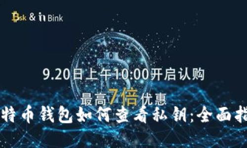 比特币钱包如何查看私钥：全面指南