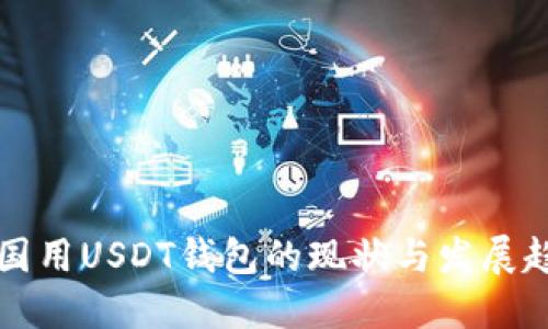 美国用USDT钱包的现状与发展趋势