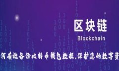 如何有效备份比特币钱包数据，保护您的数字资