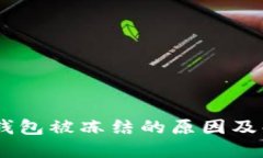 USDT冷钱包被冻结的原因及解决方案
