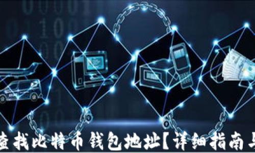 
如何查找比特币钱包地址？详细指南与技巧