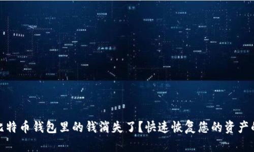 如何应对比特币钱包里的钱消失了？快速恢复您的资产的有效步骤