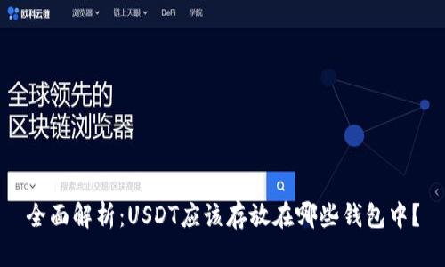 全面解析：USDT应该存放在哪些钱包中？