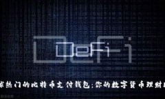 全球热门的比特币支付钱包：你的数字货币理财